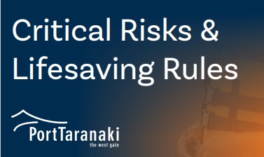 Critical Risk Image