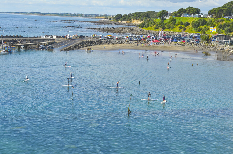 Paddle Boarders in Harbour
