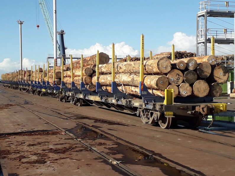 logs on rail 2